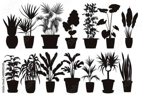 illustration. Set of plants in pots. Greenery. seal sticker.