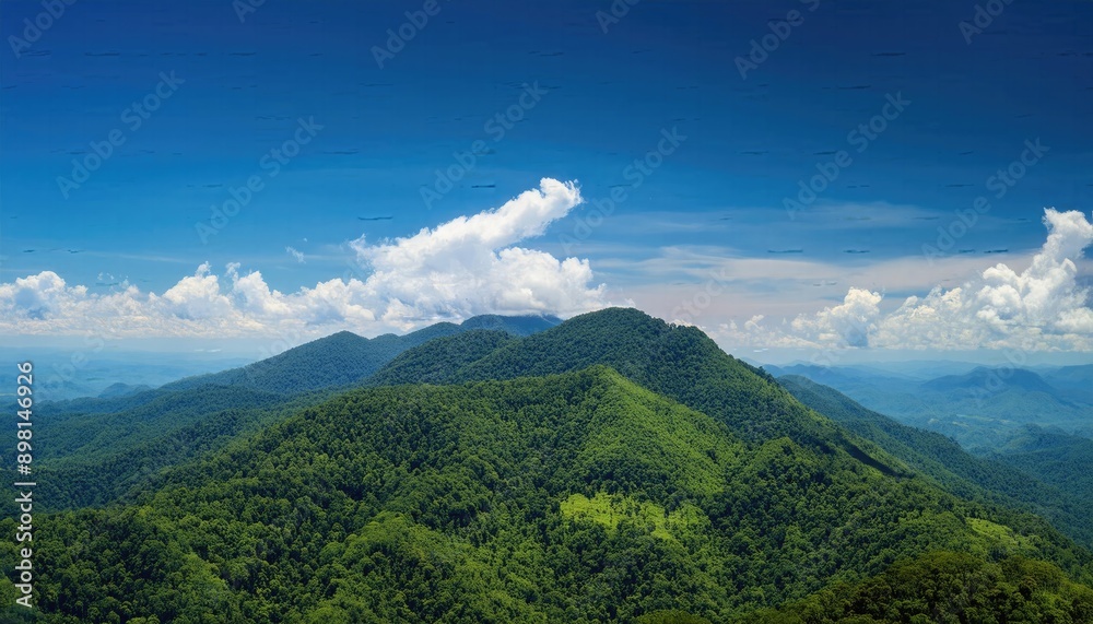 Forest images, forest images landscape with blue sky, fantasy landscape background Forest images, forest images landscape with blue sky, fantasy landscape background