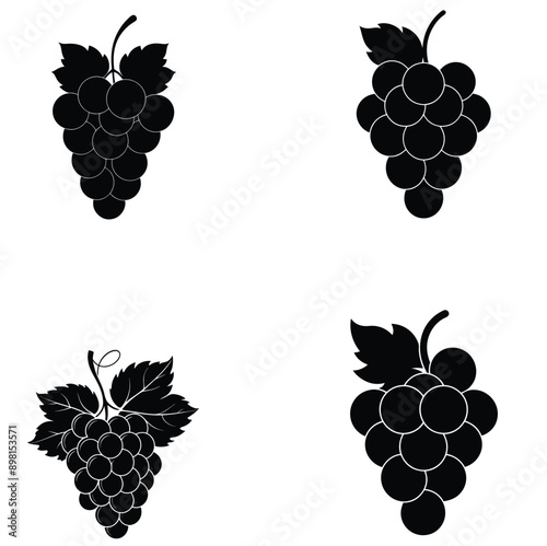Grapes set silhouette vector illustration

