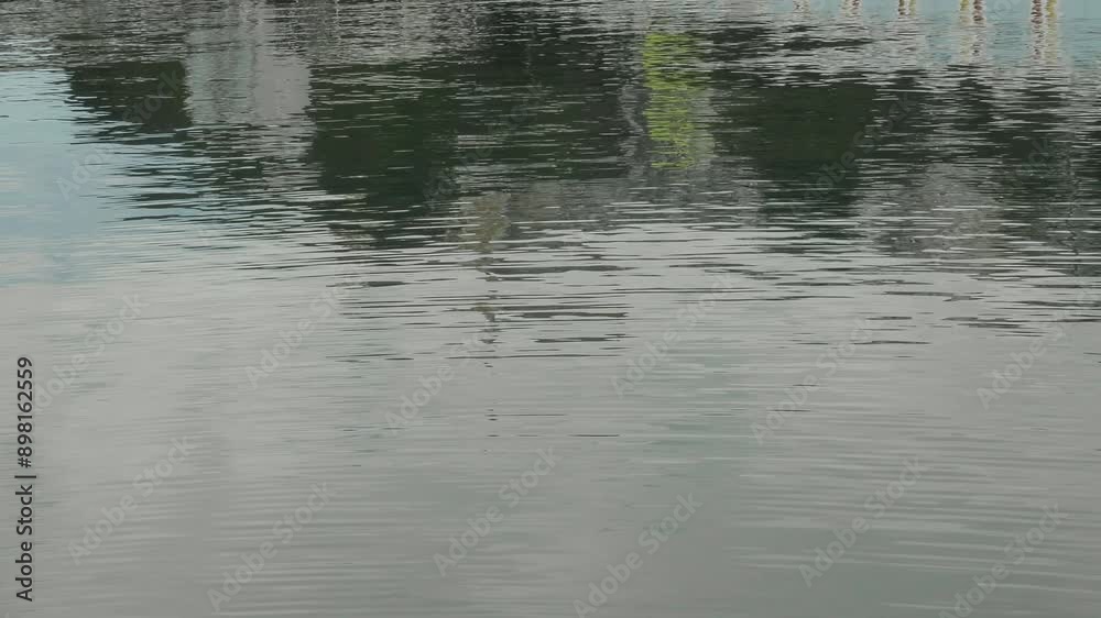 Reflections Over Tranquil Waters On Wellington Waterfront In North Island, New Zealand. Static Shot Reflections Over Tranquil Waters On Wellington Waterfront In North Island, New Zealand. Static Shot