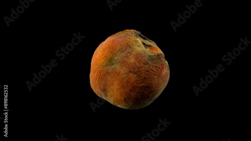 Timelapse of a rotting peach against a black background