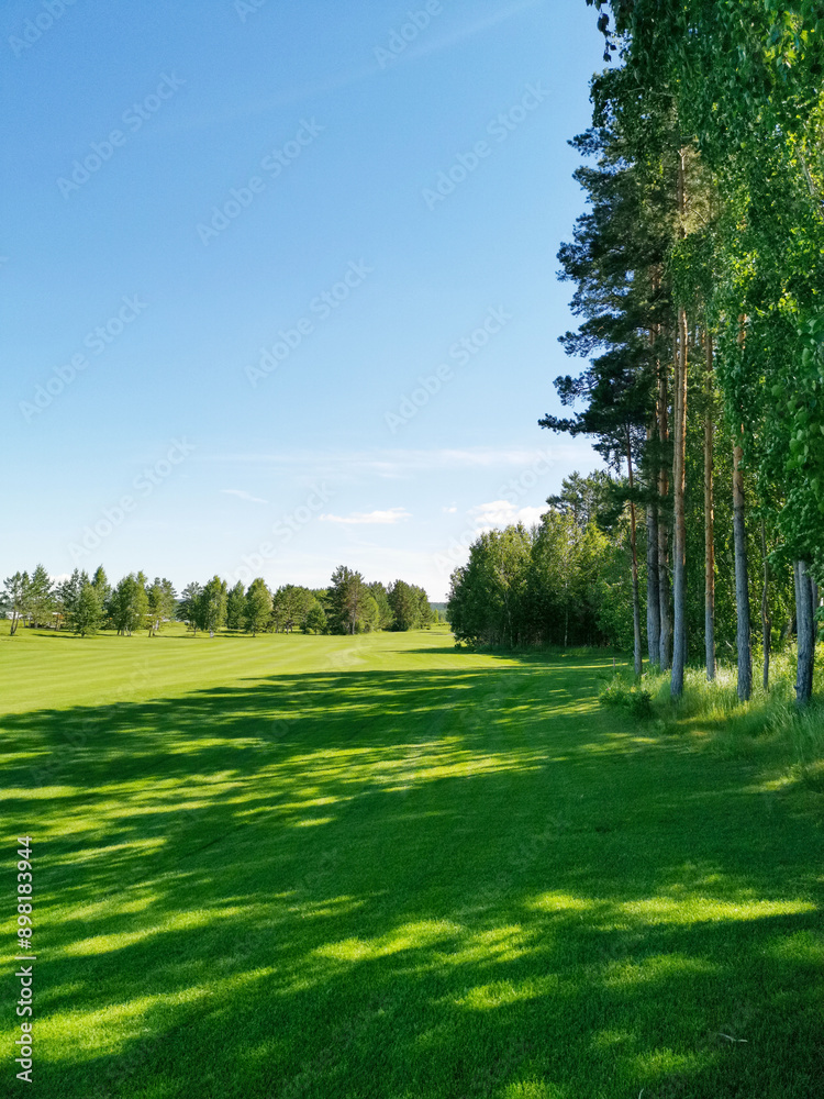 Obraz premium Summer park