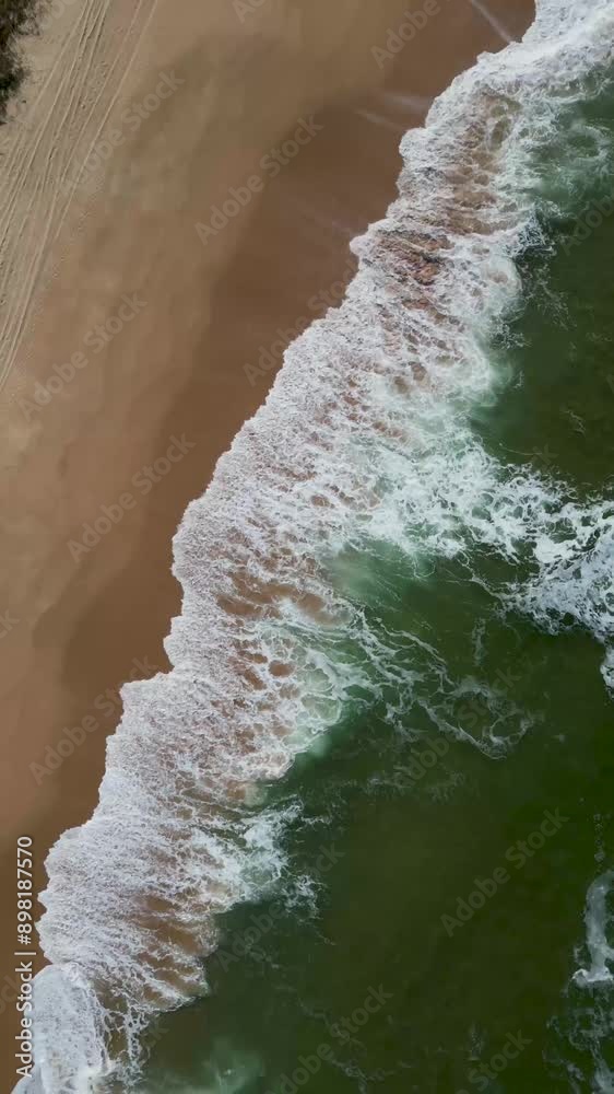 Aerial view of the beach Aerial view of the beach