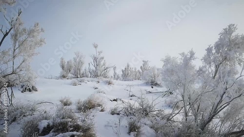 Close-up of beautiful rime in cold winter.