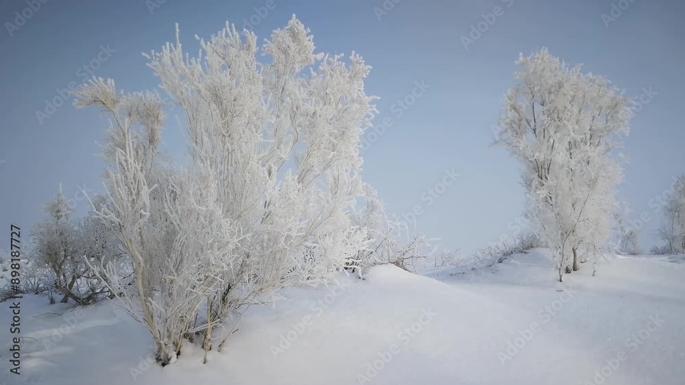 Close-up of beautiful rime in cold winter. Close-up of beautiful rime in cold winter.