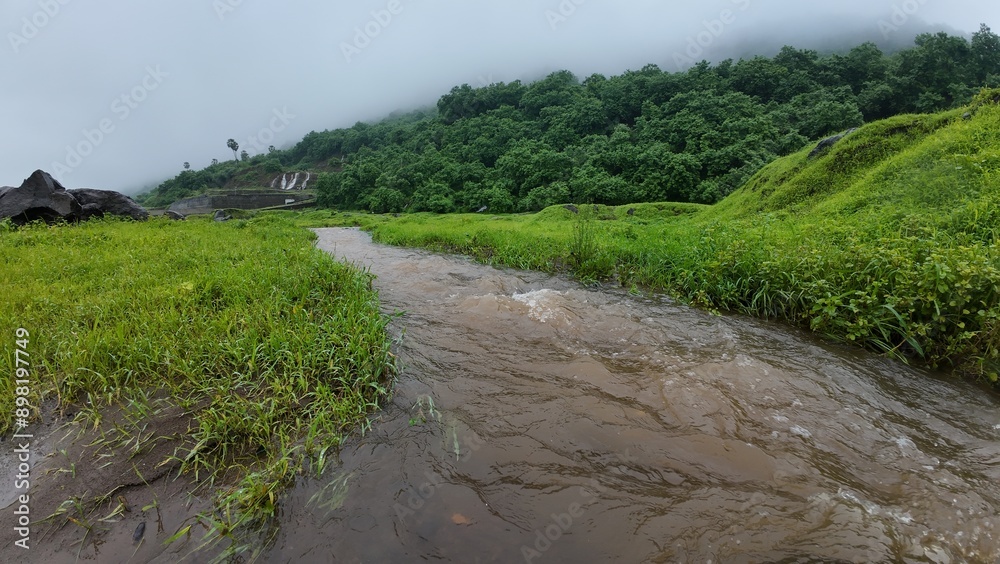 Scenic view of a water stream surrounded by greenery. Scenic view of a water stream surrounded by greenery.