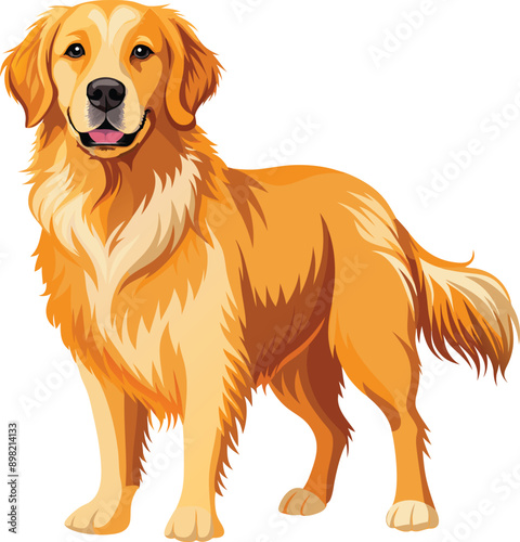 Golden Retriever  Dog  vector style,Clipart , Illustration with white background
