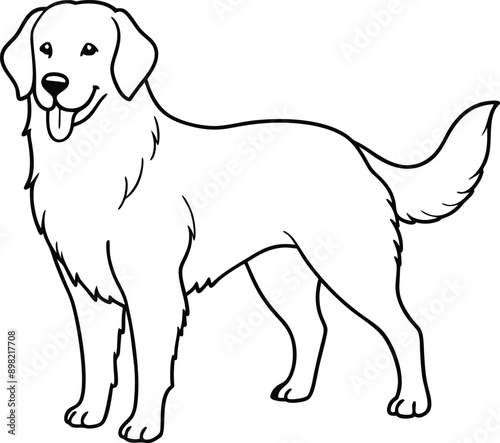 Golden Retriever  Dog  vector style,Clipart , Illustration with white background