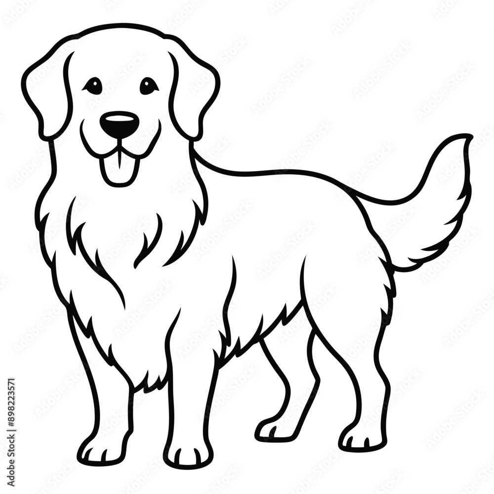 Golden Retriever Dog vector style,Clipart , Illustration with white background Golden Retriever Dog vector style,Clipart , Illustration with white background
