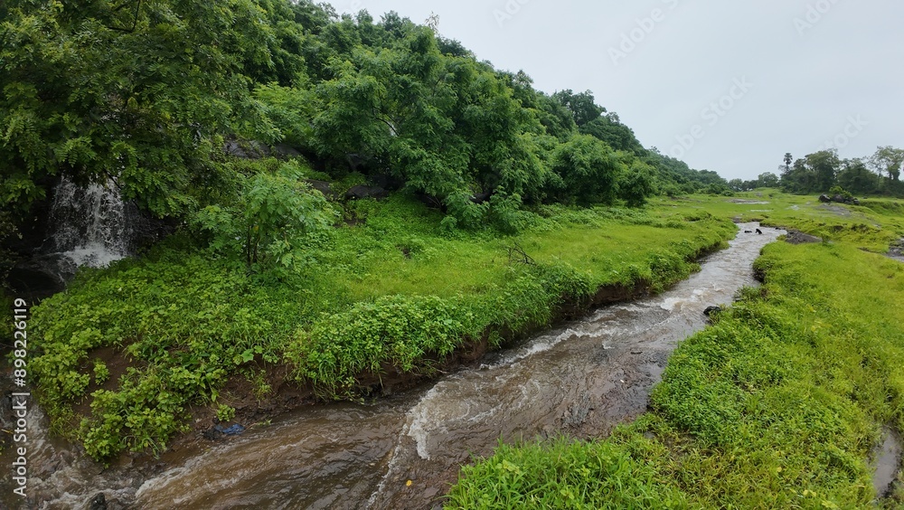 Naklejka premium Scenic view of a water stream surrounded by greenery.