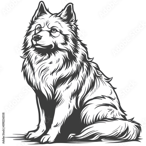 Alaskan Malamute Dog Colouring Page | Colouring Sheet