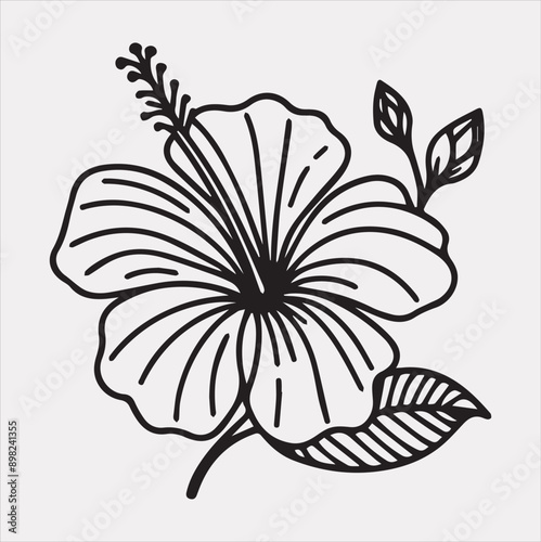 hibiscus flower line art silhouette vector on a white background