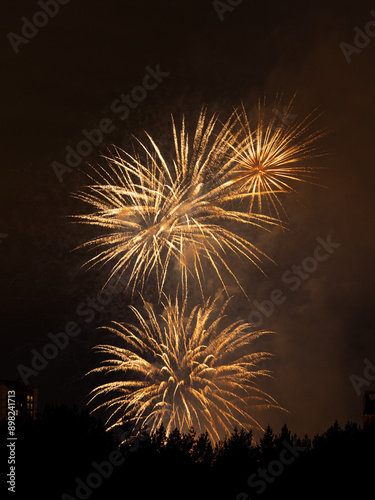 Golden fireworks light up the night sky, with silhouetted trees and buildings below