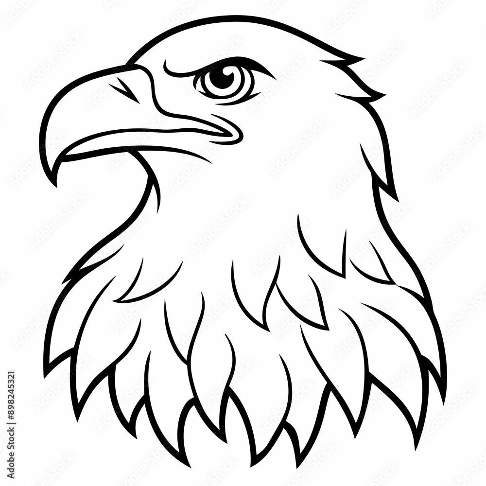 Fototapeta premium eagle head vector