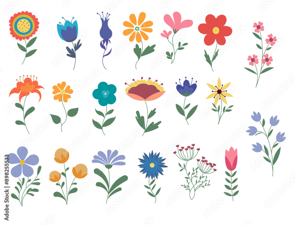 Fototapeta premium set of flowers