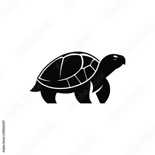 Graceful Turtle Vector Silhouette