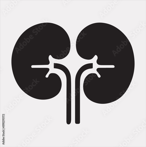 kidney vector silhouette on a white background