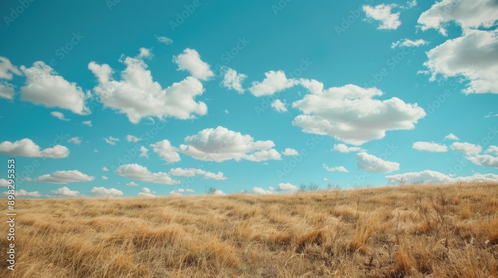 Fototapeta premium A serene scene of a grassy field under a clear blue sky with puffy white clouds