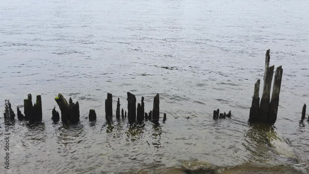 An atmospheric shot of weathered wooden piles partially submerged in the calm waters of a river in Saint Petersburg. The remnants of the old structure create a serene and contemplative scene, with the An atmospheric shot of weathered wooden piles partially submerged in the calm waters of a river in Saint Petersburg. The remnants of the old structure create a serene and contemplative scene, with the