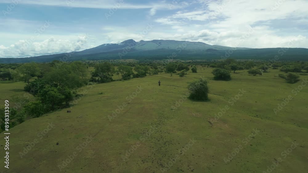 A motorcyclist rides through the valley of Sumbawa Island A motorcyclist rides through the valley of Sumbawa Island