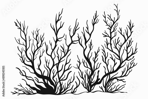 Coral reef black silhouettes isolated on white background. Ocean seaweed, sea underwater and marine water design element
