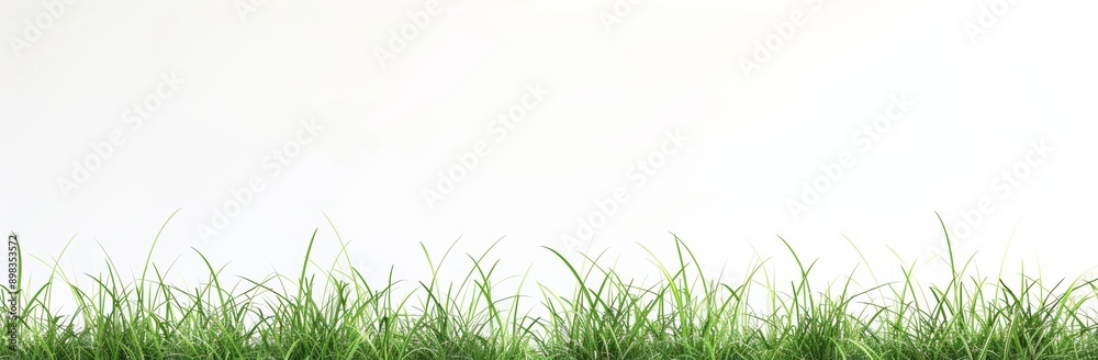 Fototapeta premium Grass row and prairie cutout transparent background 3D rendering png