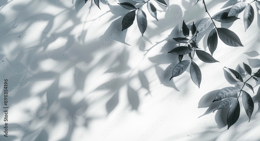 Shade of sunlight reflected off of nature's tree branches 3d render Shade of sunlight reflected off of nature's tree branches 3d render