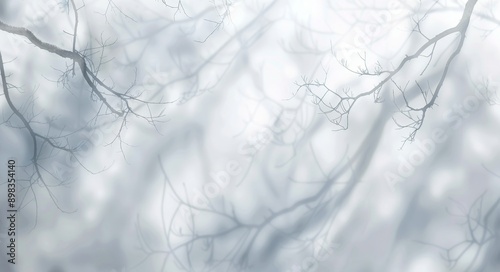 Isolated shadow of tree branches on transparent background in 3D