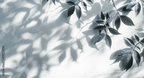 Shade of sunlight reflected off of nature's tree branches 3d render