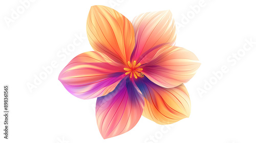 A colorful flower with pink and orange petals on a white background.