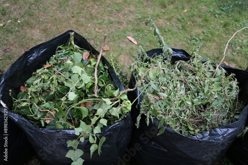 Déchets verts dans des sacs