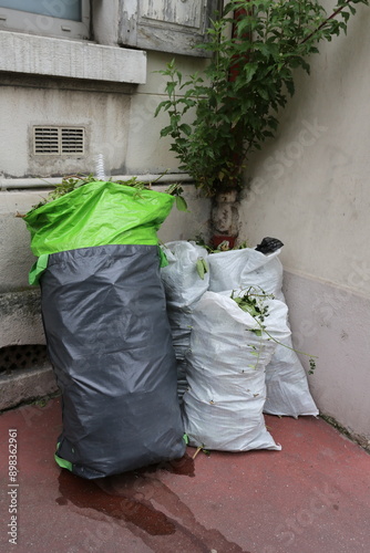 Déchets verts dans des sacs photo