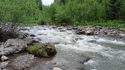 Dense bushes on the rocky banks of a shallow stormy river flowing down from the mountains through a summer forest on a cloudy day. Iogach river, Altai, Siberia, Russia. photo