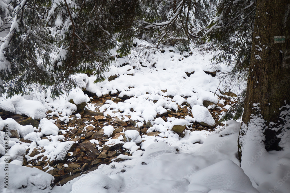 Snowy Streambed In A Winter Forest. Winter touristic trails in Carpathian mountains, Ukraine