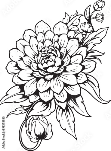 Flowers Coloring Silhouettes black and white vector illustration Free Download