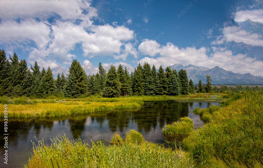 Forest river landscape. River in forest Forest river landscape. River in forest