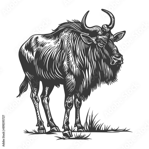 Black and White Illustration of a Wildebeest Standing in Grass