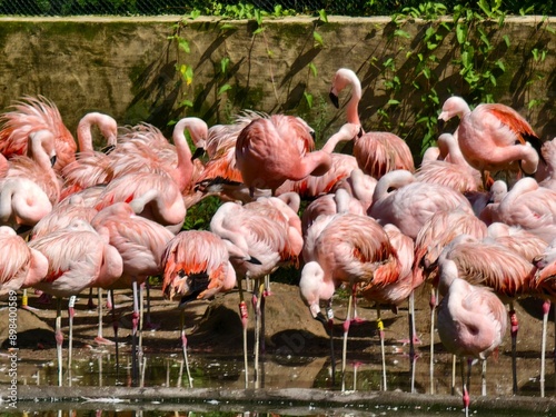 Vogelpark Marlow