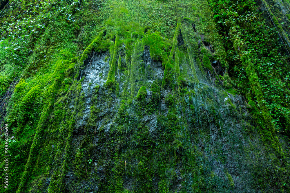 Gorgeous stone cliff covered with vivid green moss due to a high level of dampness. Cueva del Esplendor, cave of splendor, Jardin, Jardín, Antioquia, Colombia. Gorgeous stone cliff covered with vivid green moss due to a high level of dampness. Cueva del Esplendor, cave of splendor, Jardin, Jardín, Antioquia, Colombia.