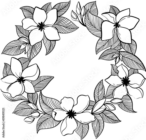 Jasmine wreath lineart photo