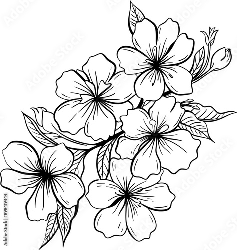 Manuka flower lineart