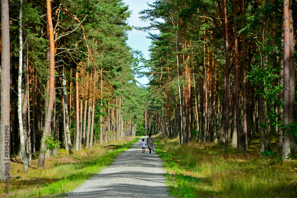 babcia z wnuczkiem na leśnej drodze, spacer po lesie, babcia i wnuczek idący leśną drogą, grandmother with grandson on a forest road, walk in the forest,