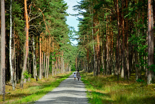 Obraz na płótnie babcia z wnuczkiem na leśnej drodze, spacer po lesie, babcia i wnuczek idący leśną drogą, grandmother with grandson on a forest road, walk in the forest, w salonie