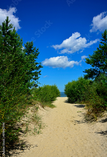 Obraz na płótnie przejście na plażę, nadmorski krajobraz, piaszczysta ściezka i błękitne niebo z białymi churami, passage to the beach, seaside landscape, sandy path and blue sky with white clouds
w salonie