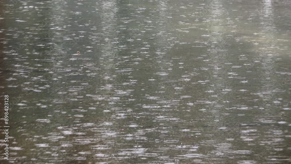 Heavy rain falling on the street, bubbles close-up. Heavy rain falling on the street, bubbles close-up.