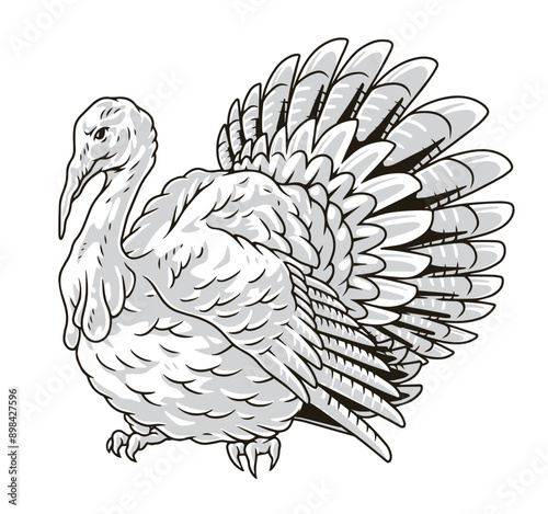 Beautiful turkey monochrome detailed sticker