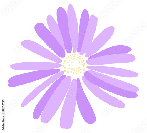purple daisy flower isolated on transparency background