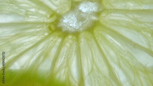 Macro shot of fresh juicy green lime slices moving against skylight, showing flesh and seeds with watery structure texture of citrus fruit visible under light.