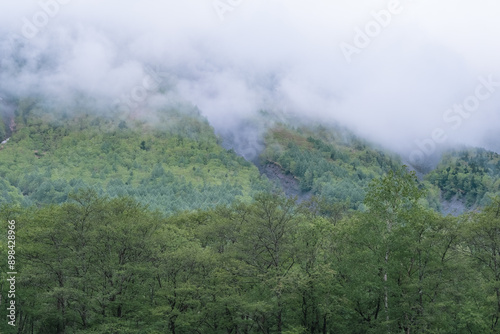 山の風景