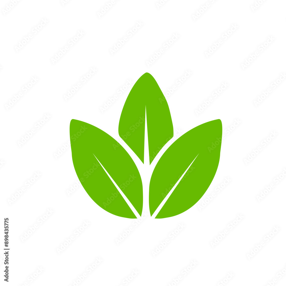 Green leaf icons. Leaves icon. Leaves of trees and plants. Vector illustration. Green leaf icons. Leaves icon. Leaves of trees and plants. Vector illustration.